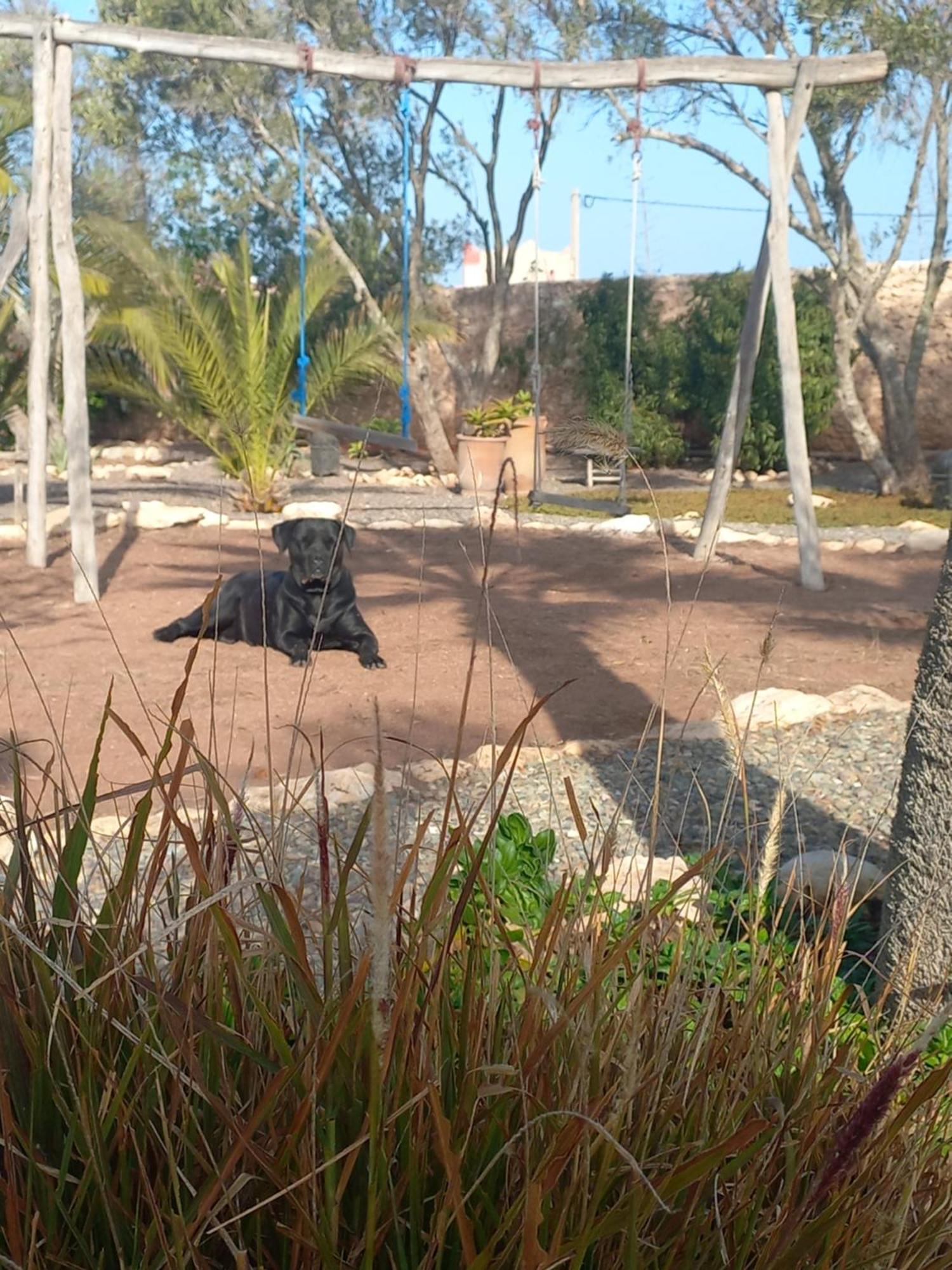 Les Jardins De Silona, Piscine Chauffee Hotel Essaouira Ngoại thất bức ảnh