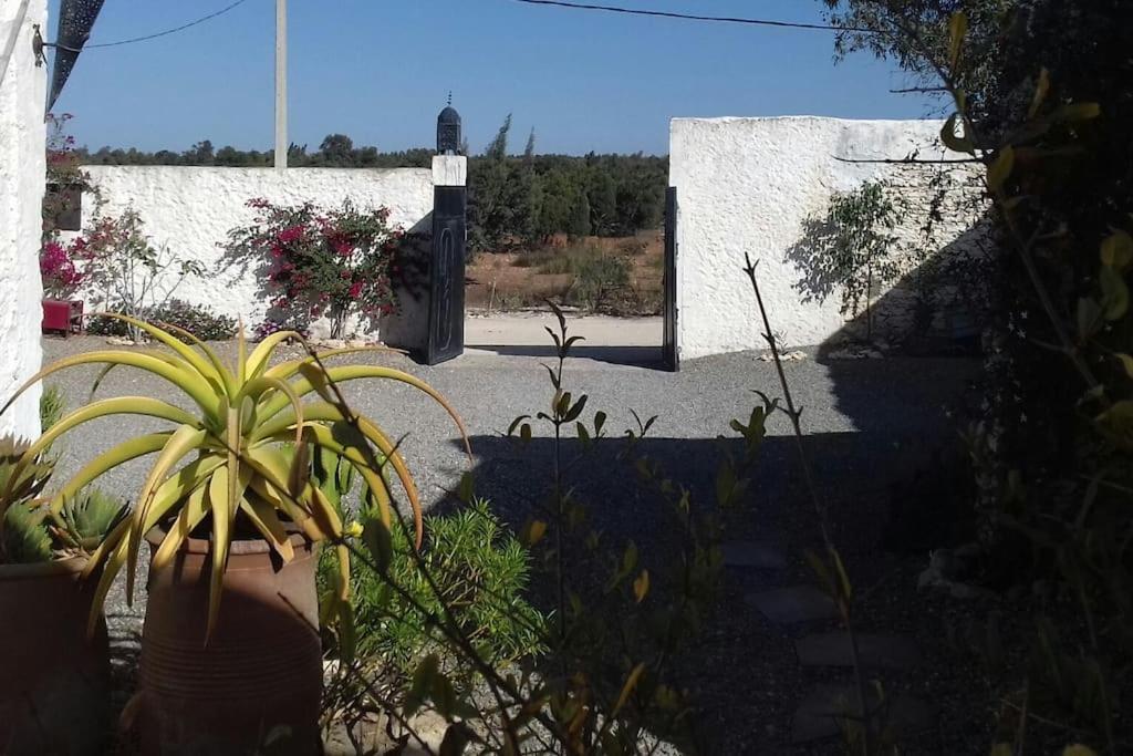 Les Jardins De Silona, Piscine Chauffee Hotel Essaouira Ngoại thất bức ảnh