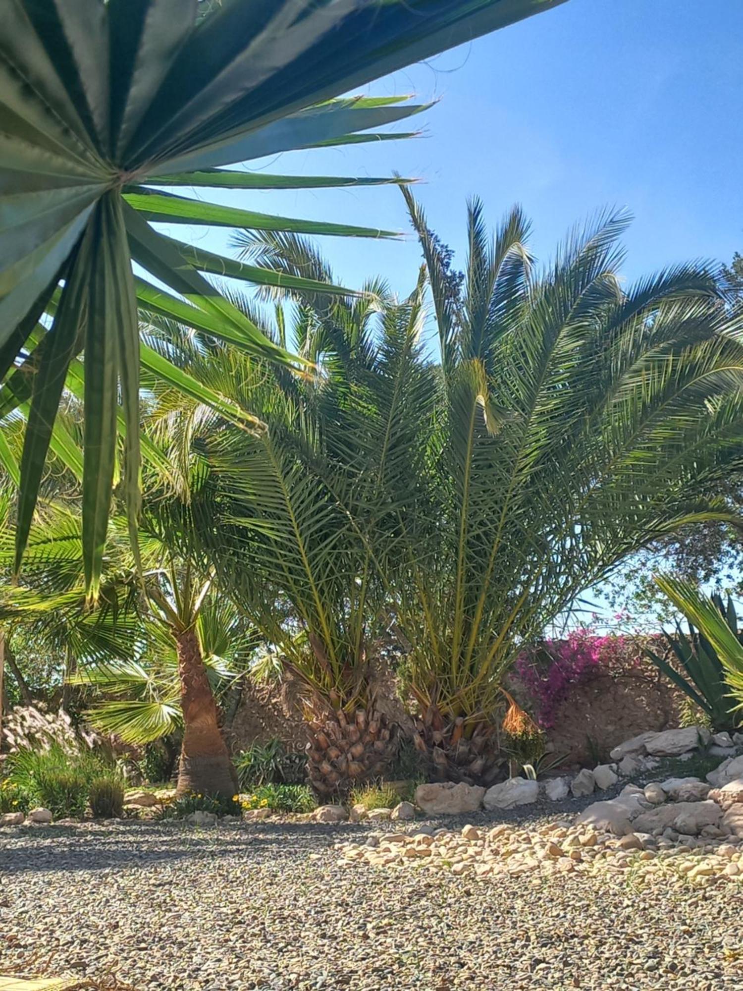 Les Jardins De Silona, Piscine Chauffee Hotel Essaouira Ngoại thất bức ảnh