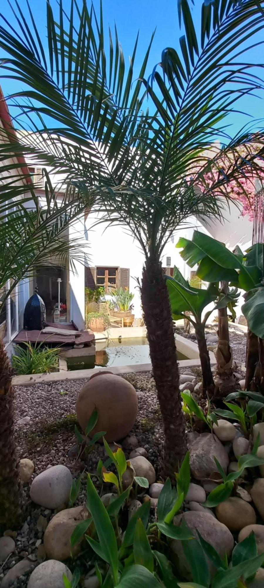 Les Jardins De Silona, Piscine Chauffee Hotel Essaouira Ngoại thất bức ảnh