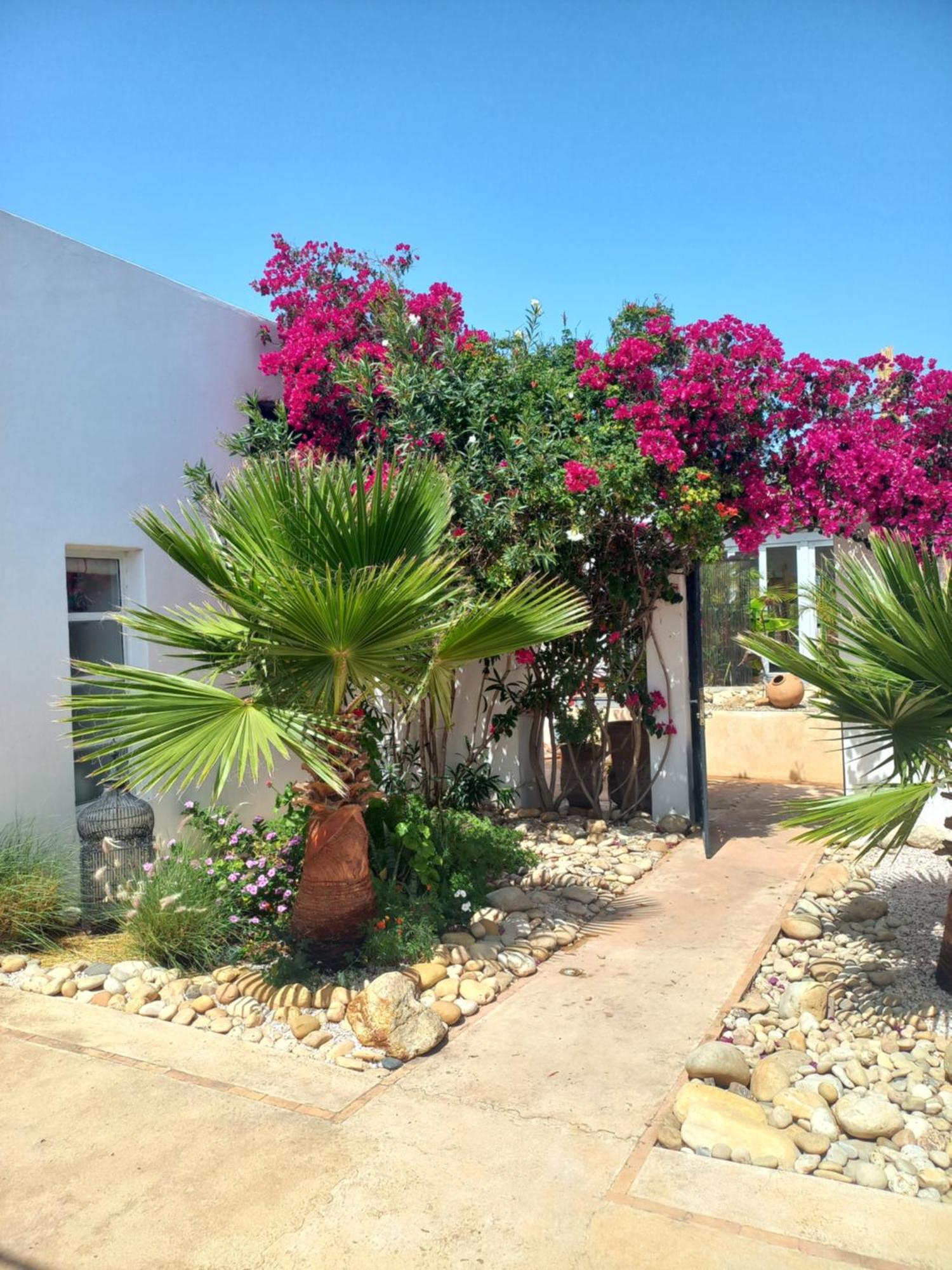 Les Jardins De Silona, Piscine Chauffee Hotel Essaouira Phòng bức ảnh